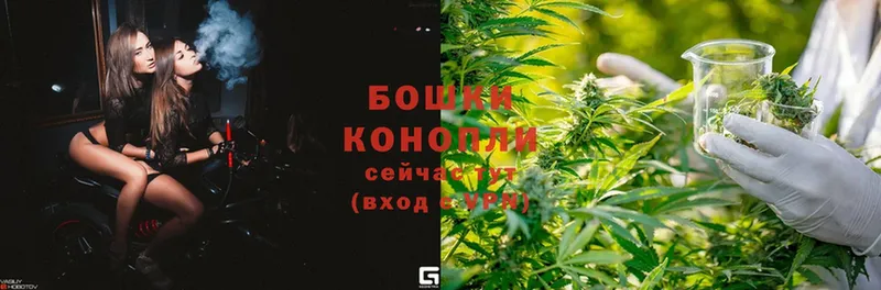 мега tor  Сафоново  Канабис OG Kush 